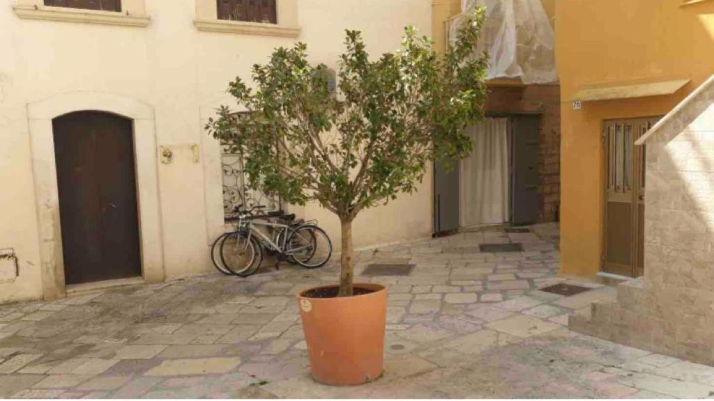 Corte32 باري المظهر الخارجي الصورة